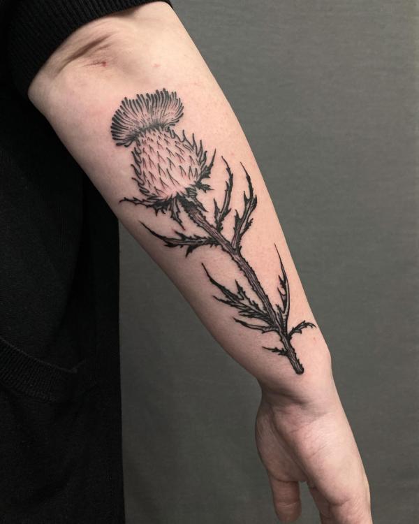 100 Thistle Tattoo Designs with Meaning