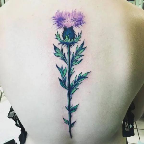 100 Thistle Tattoo Designs with Meaning