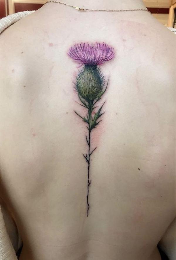 100 Thistle Tattoo Designs with Meaning