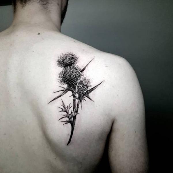 100 Thistle Tattoo Designs with Meaning
