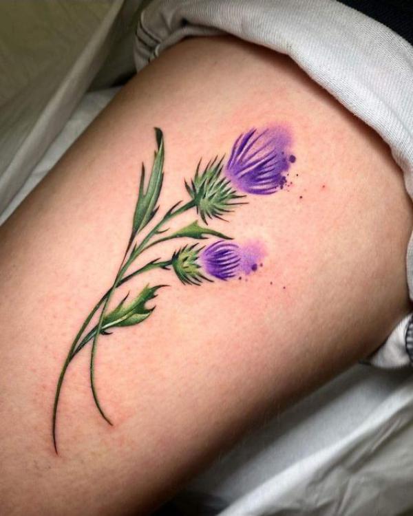 100 Thistle Tattoo Designs with Meaning