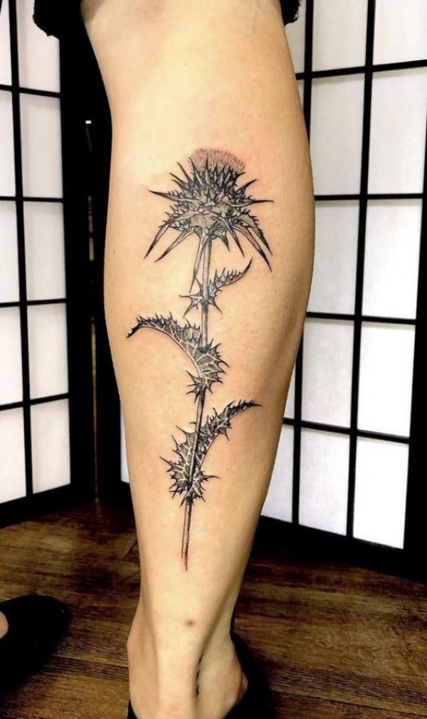 100 Thistle Tattoo Designs with Meaning