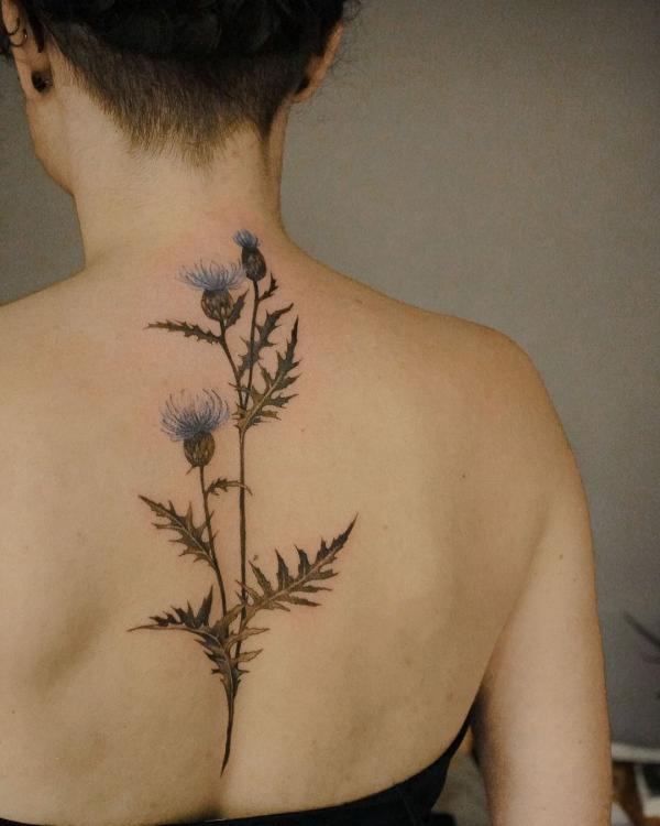 100 Thistle Tattoo Designs with Meaning