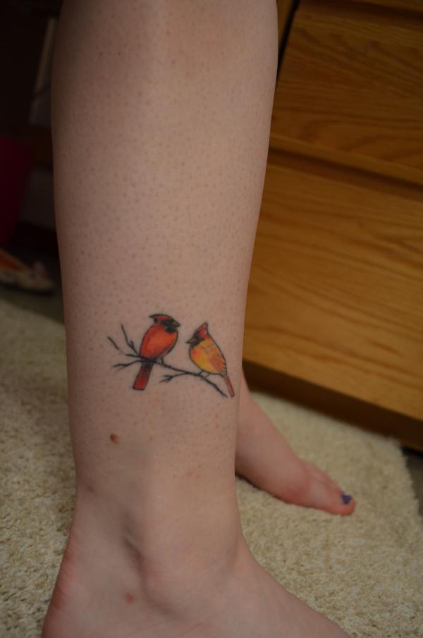 120 Cardinal Tattoos: A Symbol of Passion and Elegance
