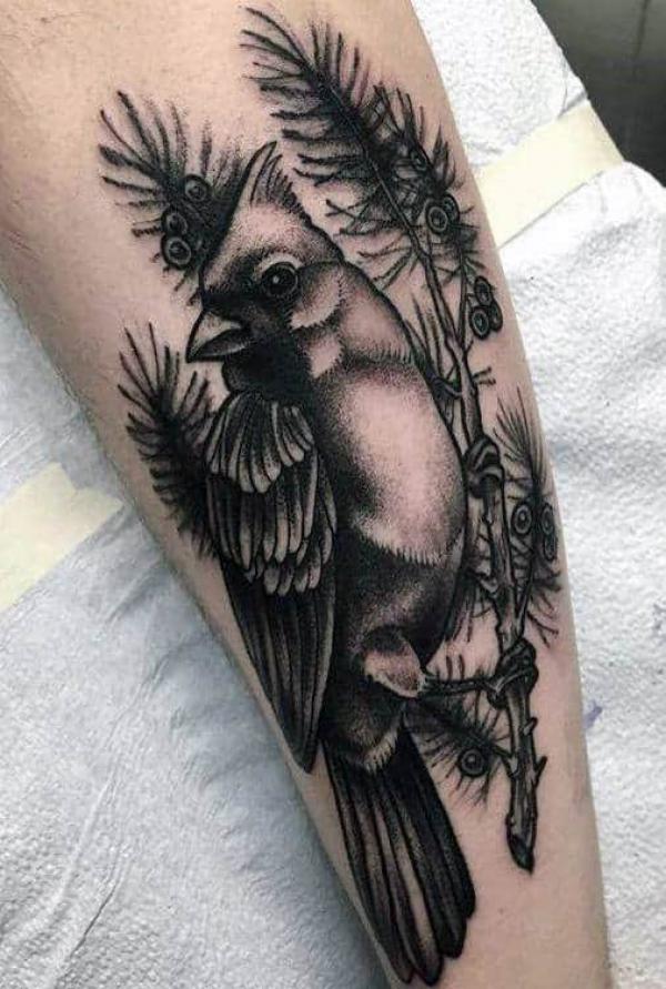 120 Cardinal Tattoos: A Symbol of Passion and Elegance