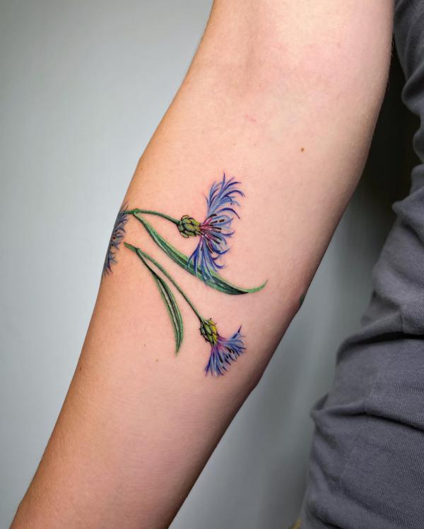 50 Cornflower Tattoo Designs with Meaning