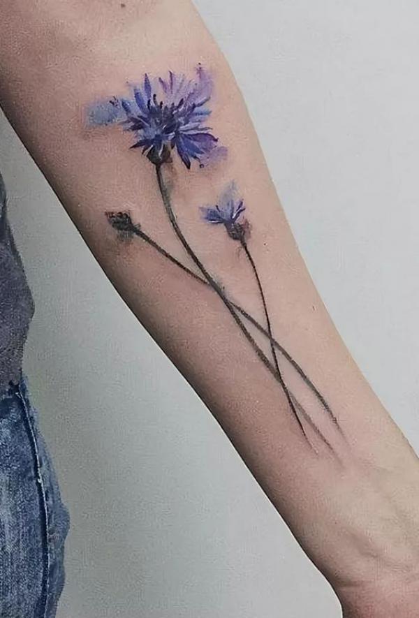 50 Cornflower Tattoo Designs with Meaning