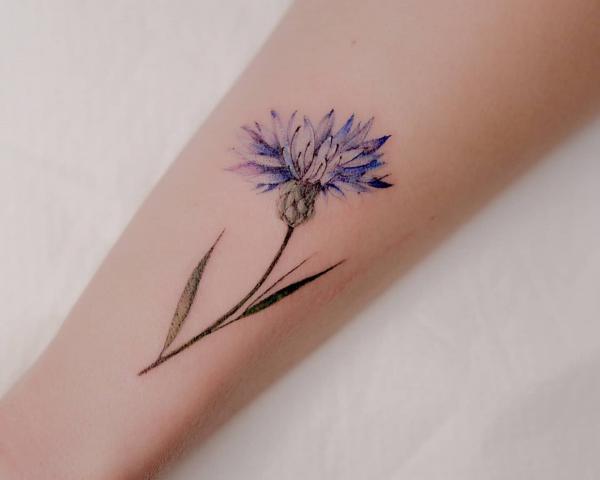 50 Cornflower Tattoo Designs with Meaning
