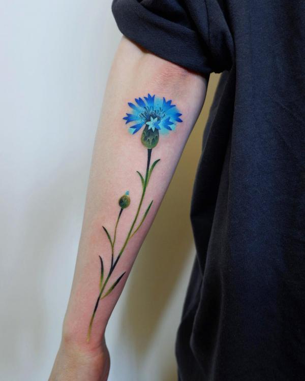 50 Cornflower Tattoo Designs with Meaning