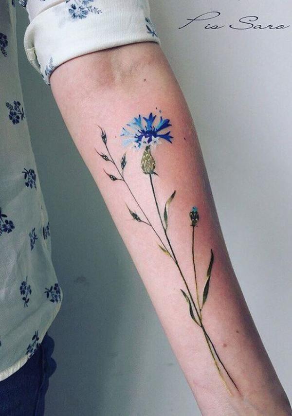 50 Cornflower Tattoo Designs with Meaning