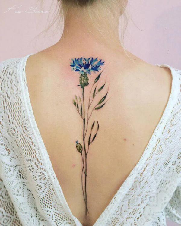 50 Cornflower Tattoo Designs with Meaning