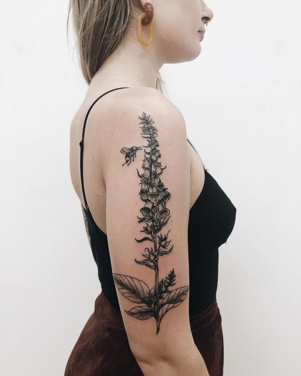 60 Foxglove Tattoo Designs with Meaning