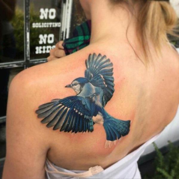 60 Blue Jay Tattoo Designs: A Flight Into Inked Elegance