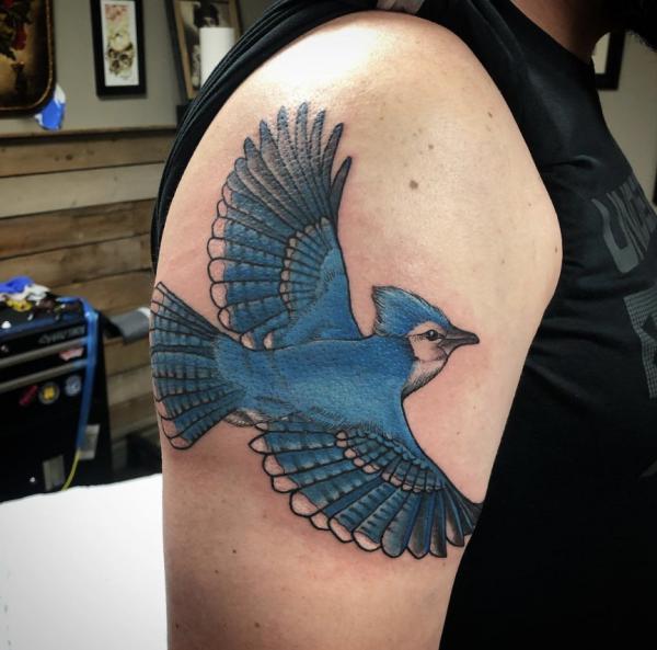 60 Blue Jay Tattoo Designs: A Flight Into Inked Elegance