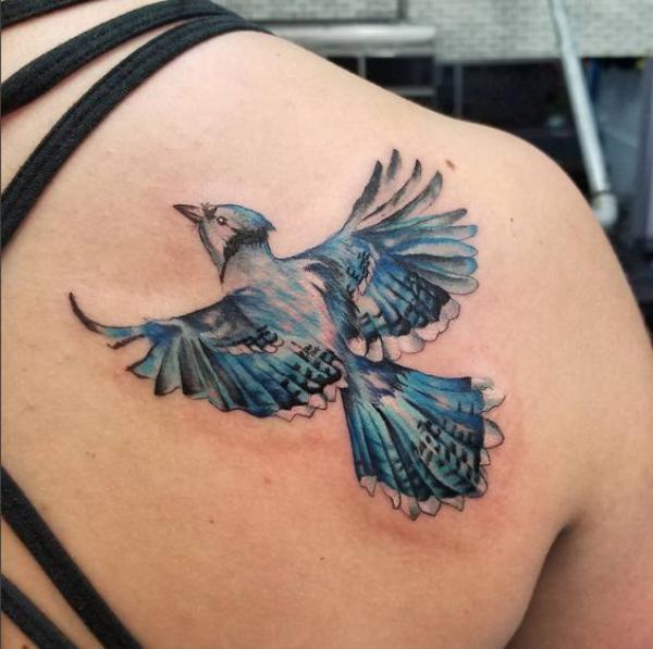 60 Blue Jay Tattoo Designs: A Flight Into Inked Elegance