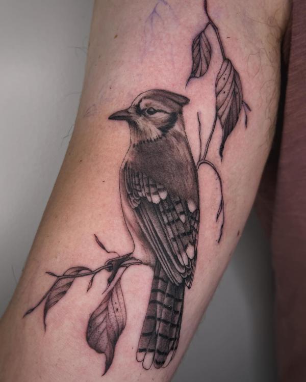 60 Blue Jay Tattoo Designs: A Flight Into Inked Elegance