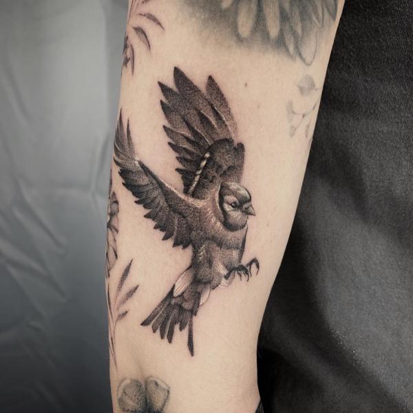 60 Blue Jay Tattoo Designs: A Flight Into Inked Elegance