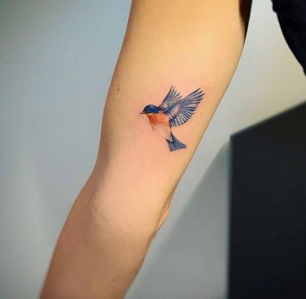60 Blue Jay Tattoo Designs: A Flight Into Inked Elegance
