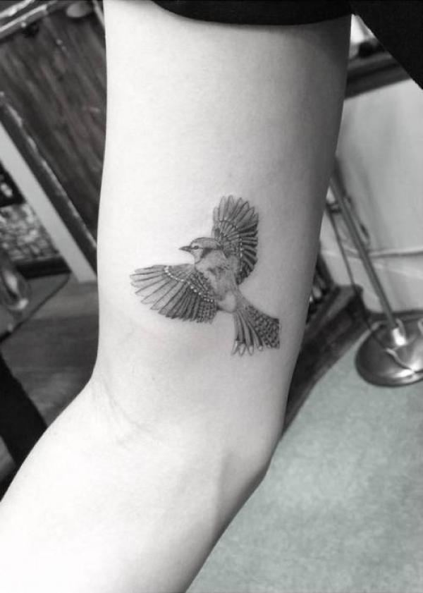 60 Blue Jay Tattoo Designs: A Flight Into Inked Elegance