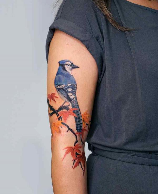 60 Blue Jay Tattoo Designs: A Flight Into Inked Elegance