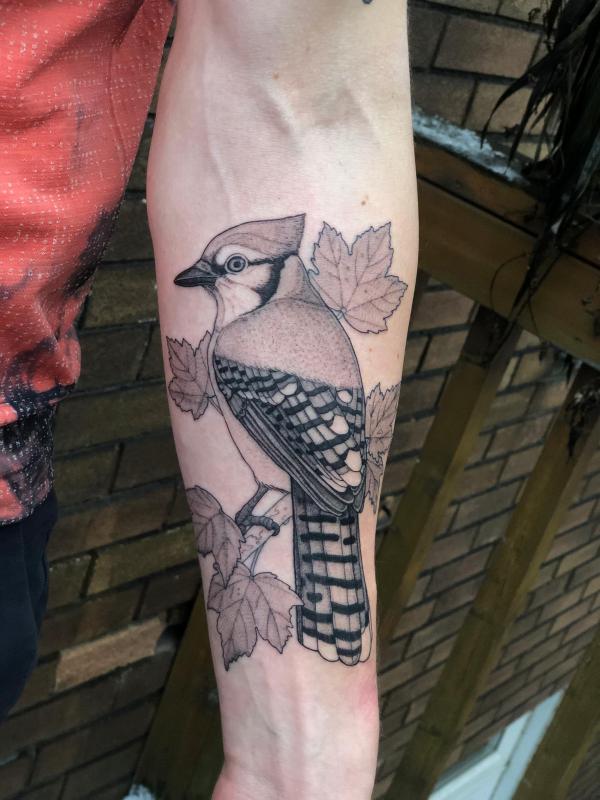 60 Blue Jay Tattoo Designs: A Flight Into Inked Elegance