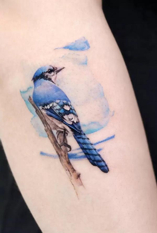 60 Blue Jay Tattoo Designs: A Flight Into Inked Elegance