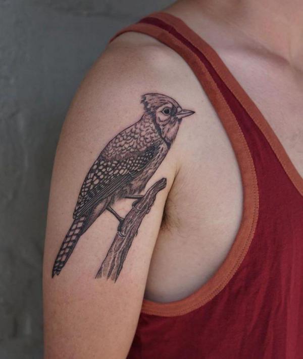 60 Blue Jay Tattoo Designs: A Flight Into Inked Elegance