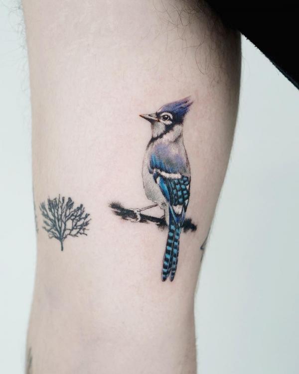 60 Blue Jay Tattoo Designs: A Flight Into Inked Elegance