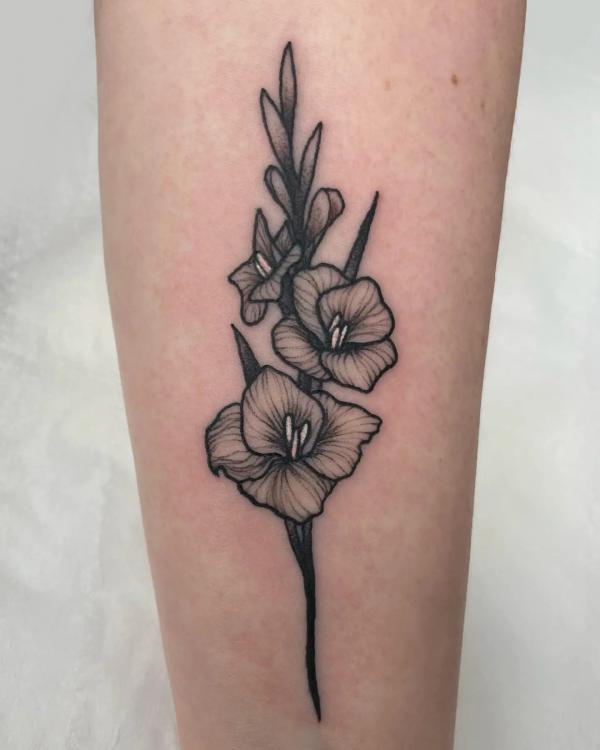 50 Gladiolus Tattoo Designs with Meaning