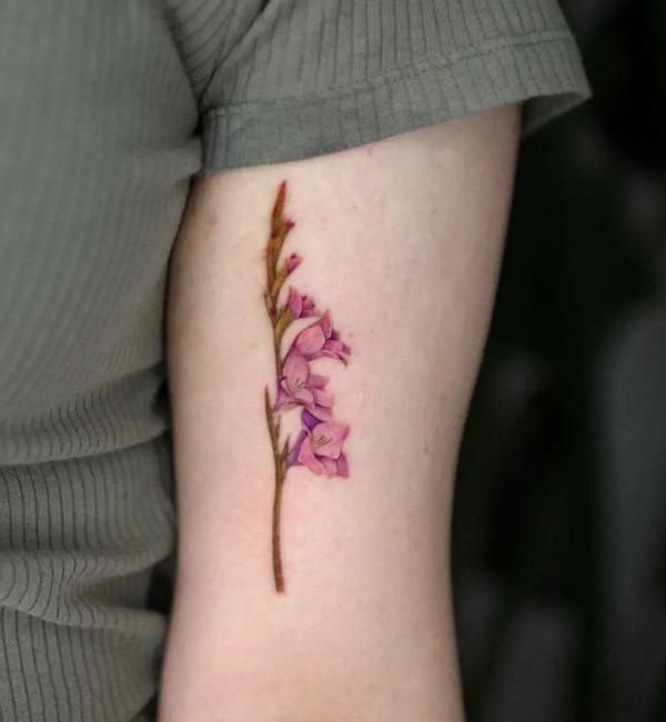 50 Gladiolus Tattoo Designs with Meaning