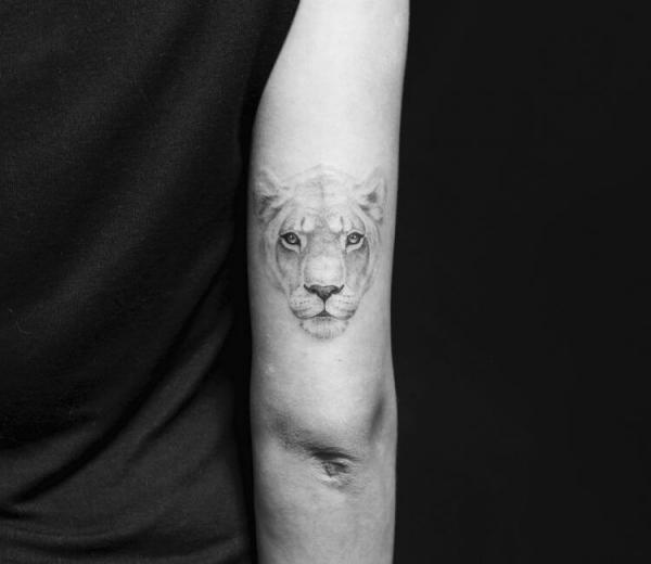 90 Lioness Tattoo Designs with Meaning