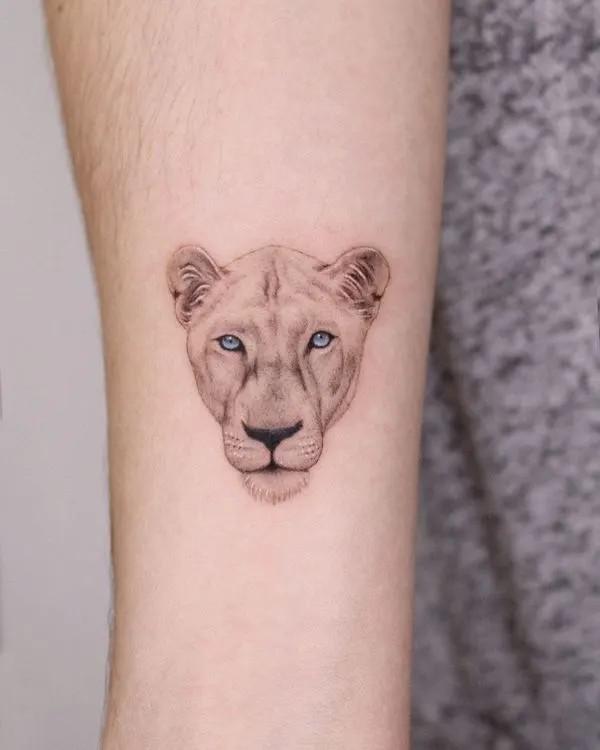 90 Lioness Tattoo Designs with Meaning
