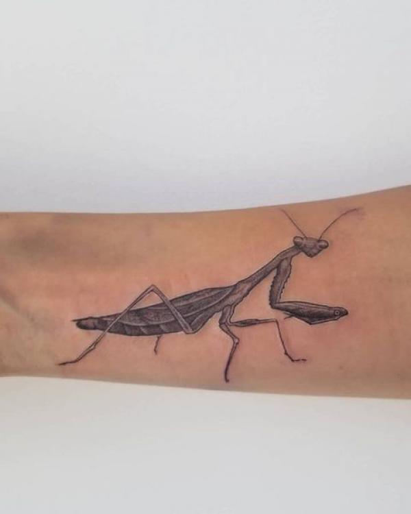 50 praying mantis tattoos: Meaning and Designs