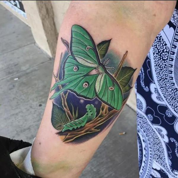 100 Luna Moth Tattoos: Meaning, Designs and Styles