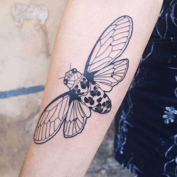 50 Cicada tattoos to Celebrate Change