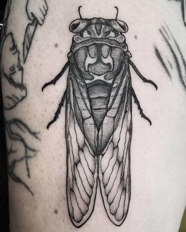 50 Cicada tattoos to Celebrate Change