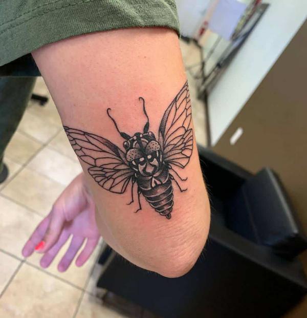 50 Cicada tattoos to Celebrate Change