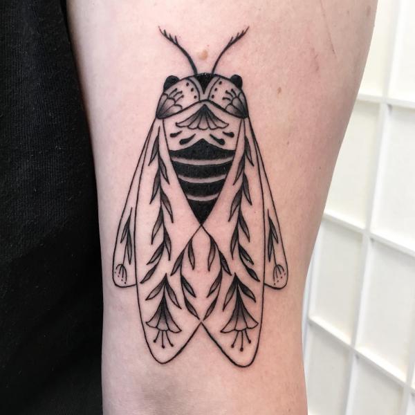50 Cicada tattoos to Celebrate Change