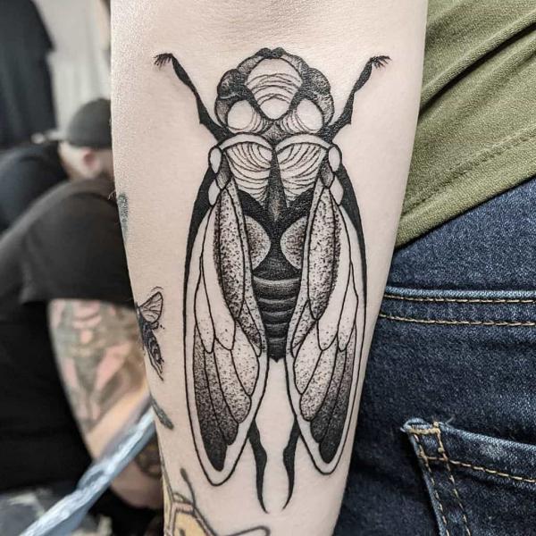 50 Cicada tattoos to Celebrate Change