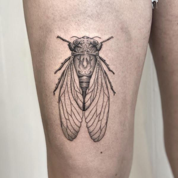 50 Cicada tattoos to Celebrate Change