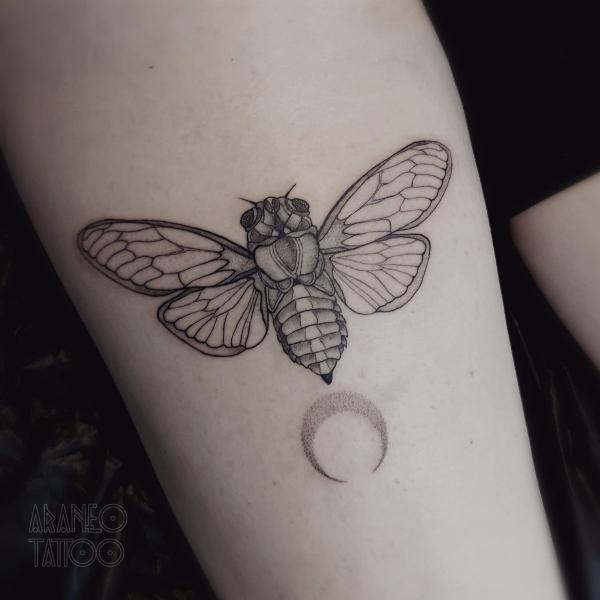 50 Cicada tattoos to Celebrate Change