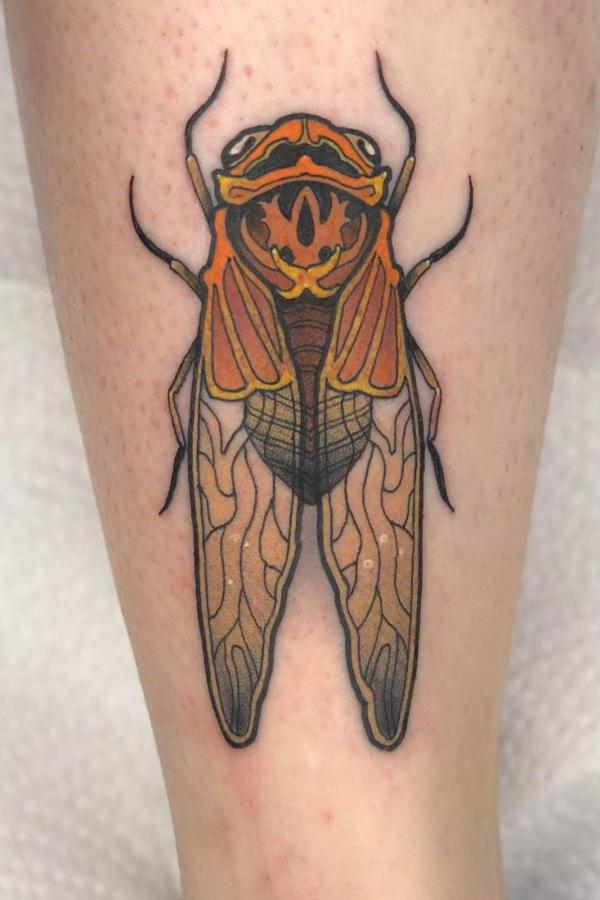 50 Cicada tattoos to Celebrate Change