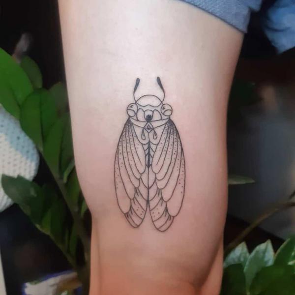 50 Cicada tattoos to Celebrate Change