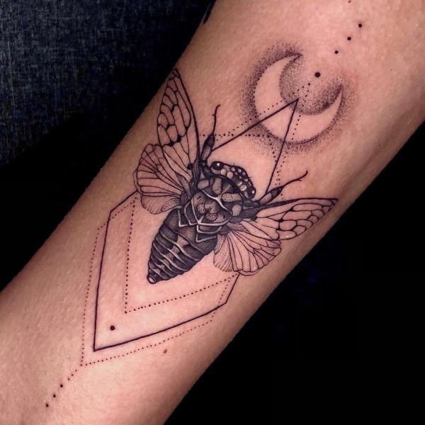 50 Cicada tattoos to Celebrate Change