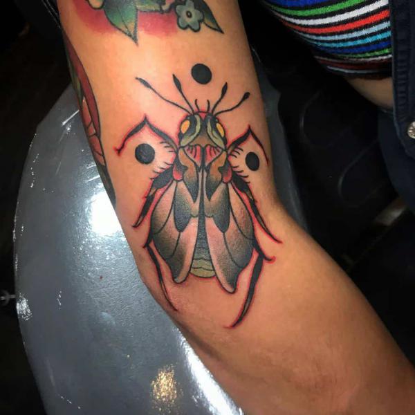 50 Cicada tattoos to Celebrate Change