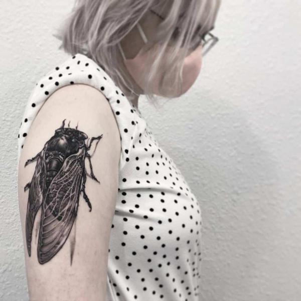50 Cicada tattoos to Celebrate Change