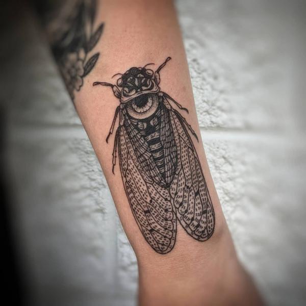 50 Cicada tattoos to Celebrate Change