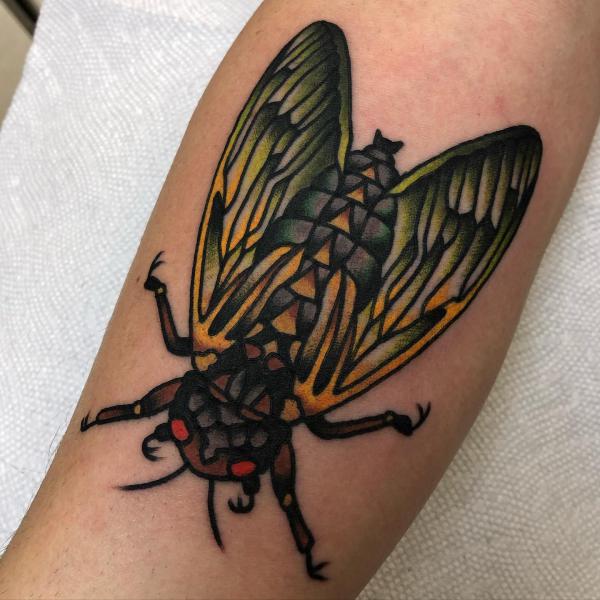 50 Cicada tattoos to Celebrate Change