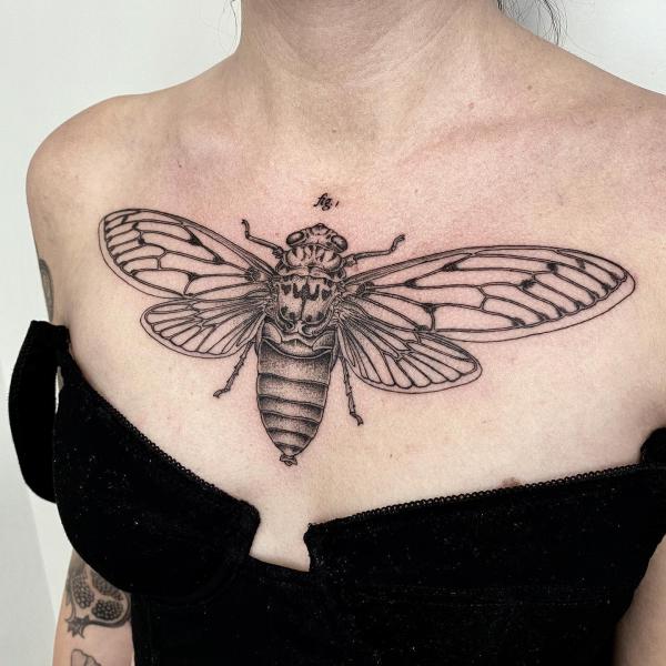 50 Cicada tattoos to Celebrate Change