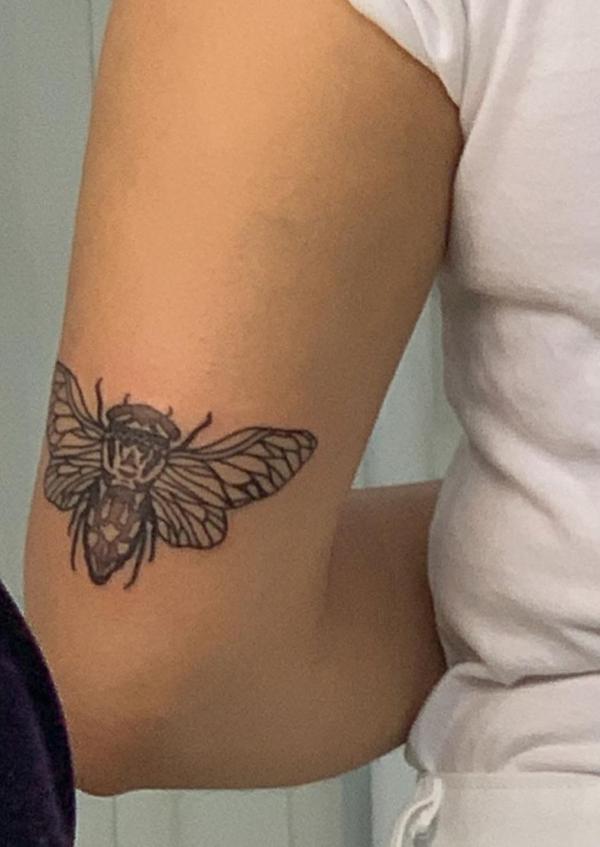 50 Cicada tattoos to Celebrate Change